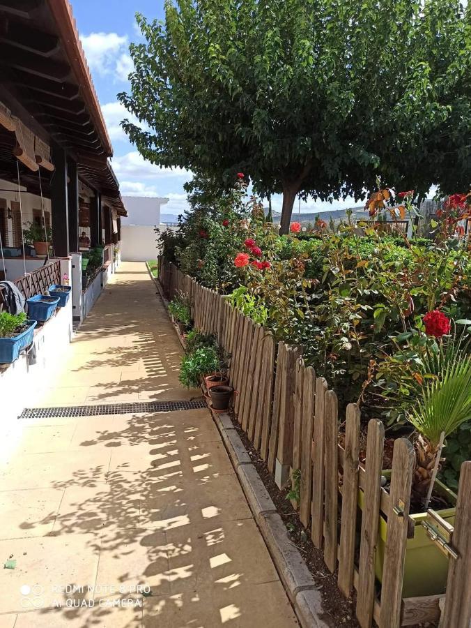 Casa Rural Alamillo Luque Zewnętrze zdjęcie