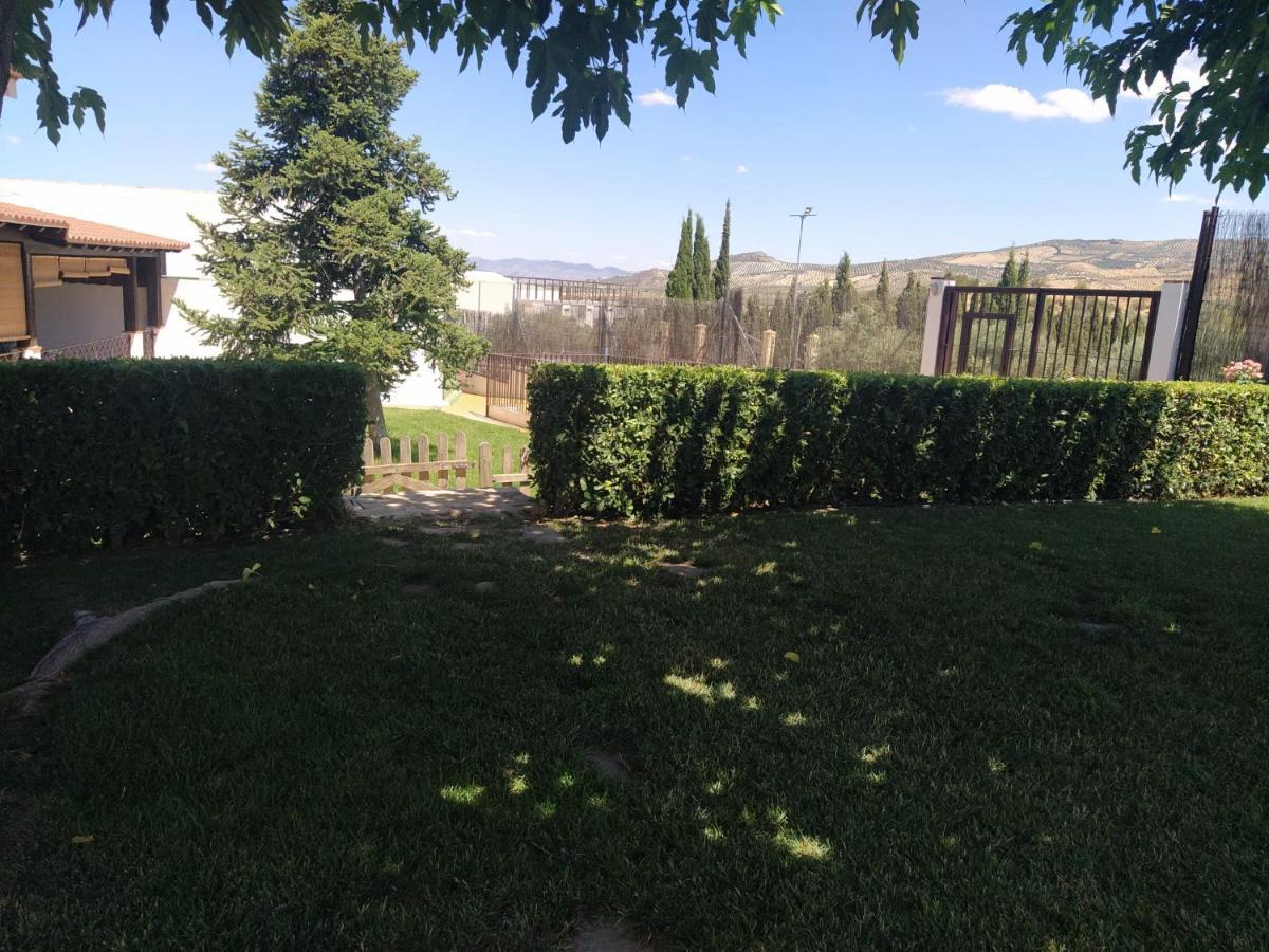 Casa Rural Alamillo Luque Zewnętrze zdjęcie