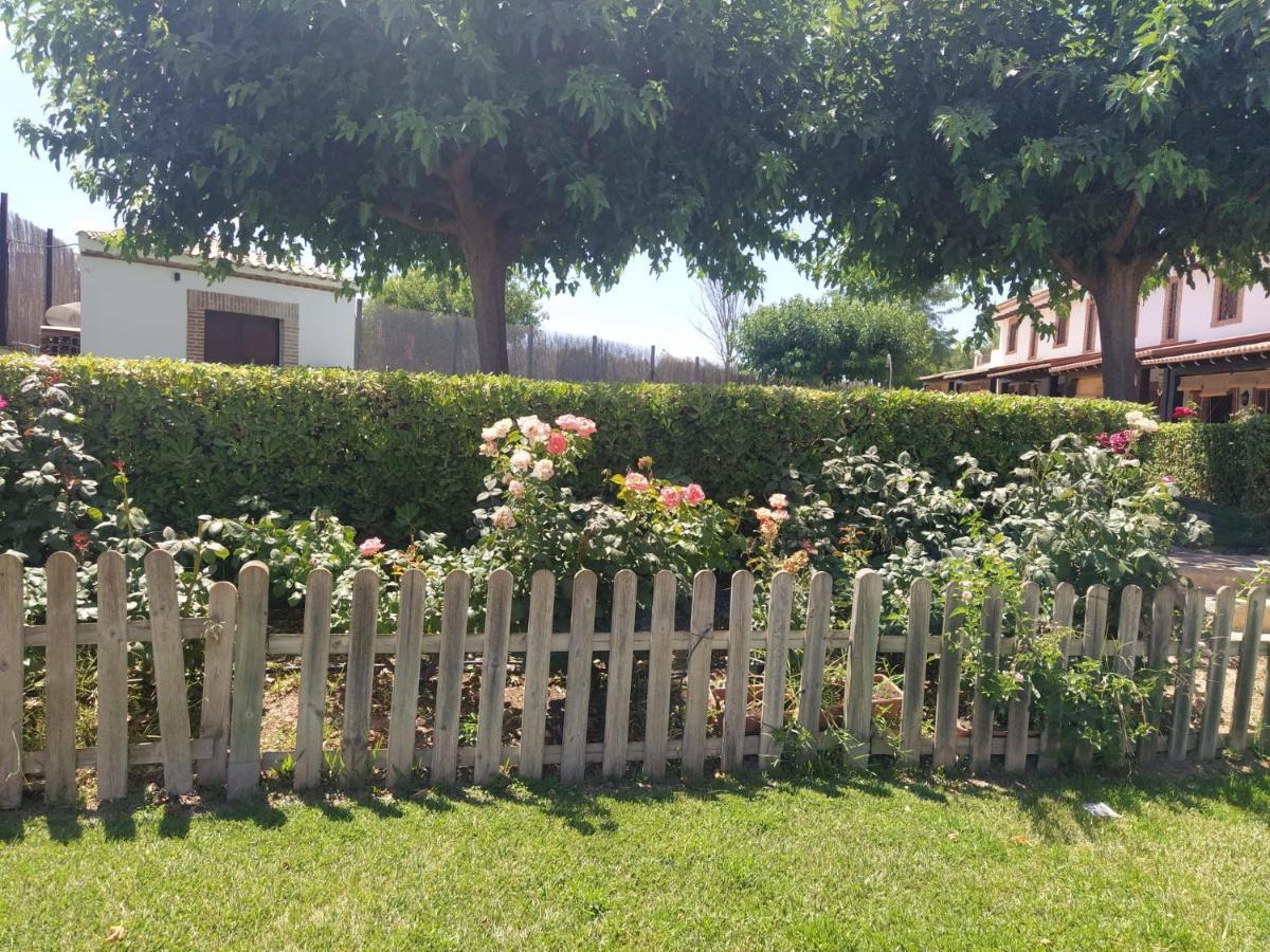 Casa Rural Alamillo Luque Zewnętrze zdjęcie