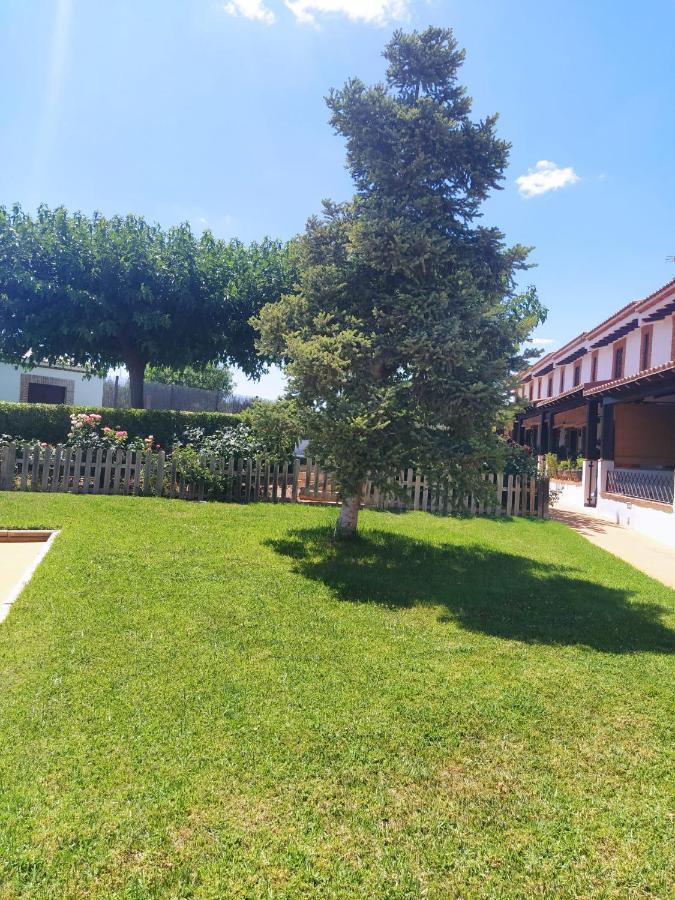Casa Rural Alamillo Luque Zewnętrze zdjęcie