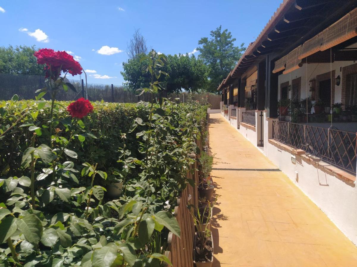 Casa Rural Alamillo Luque Zewnętrze zdjęcie